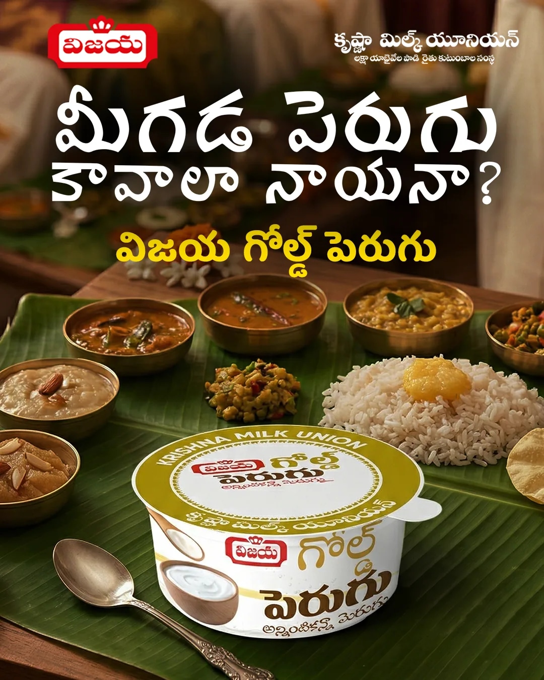 Gold Curd — the taste of a Telugu home, set fresh every morning.