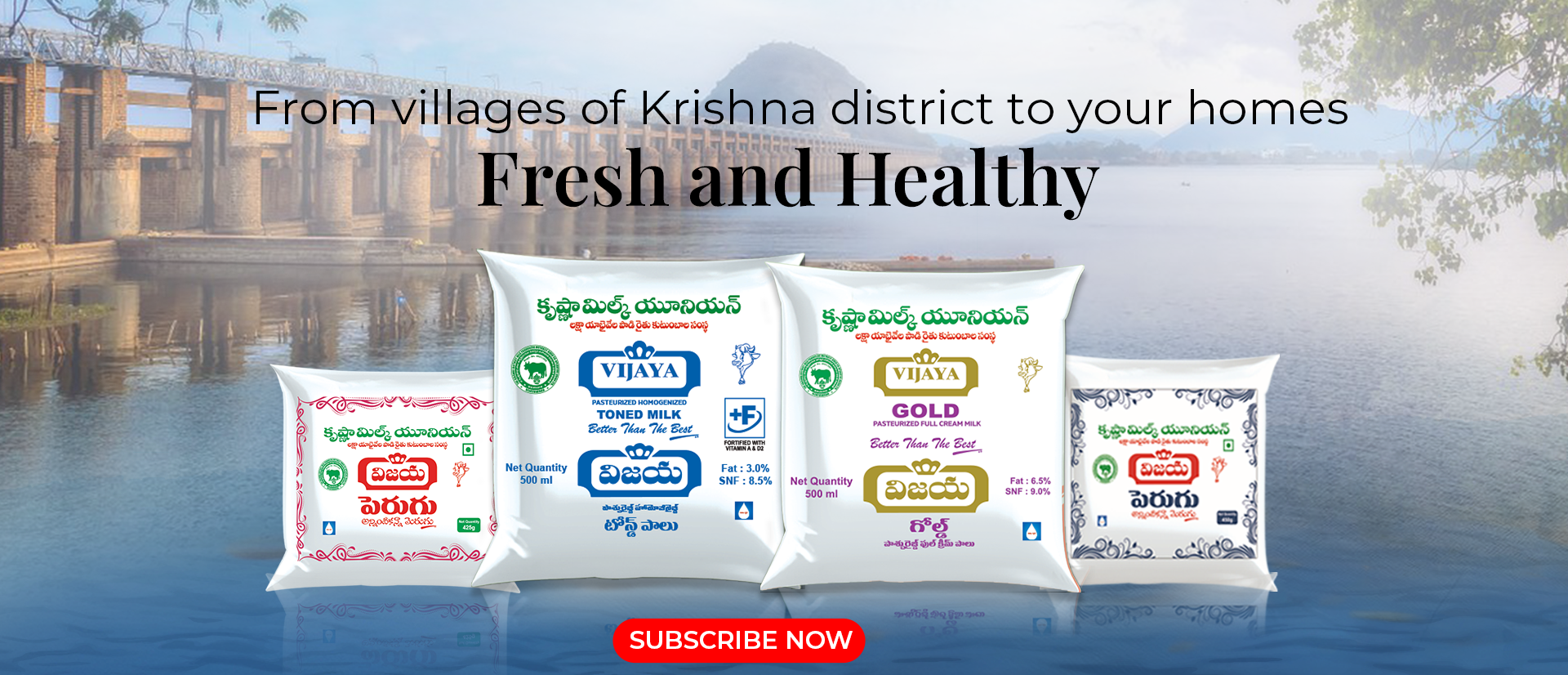 krishna milk union