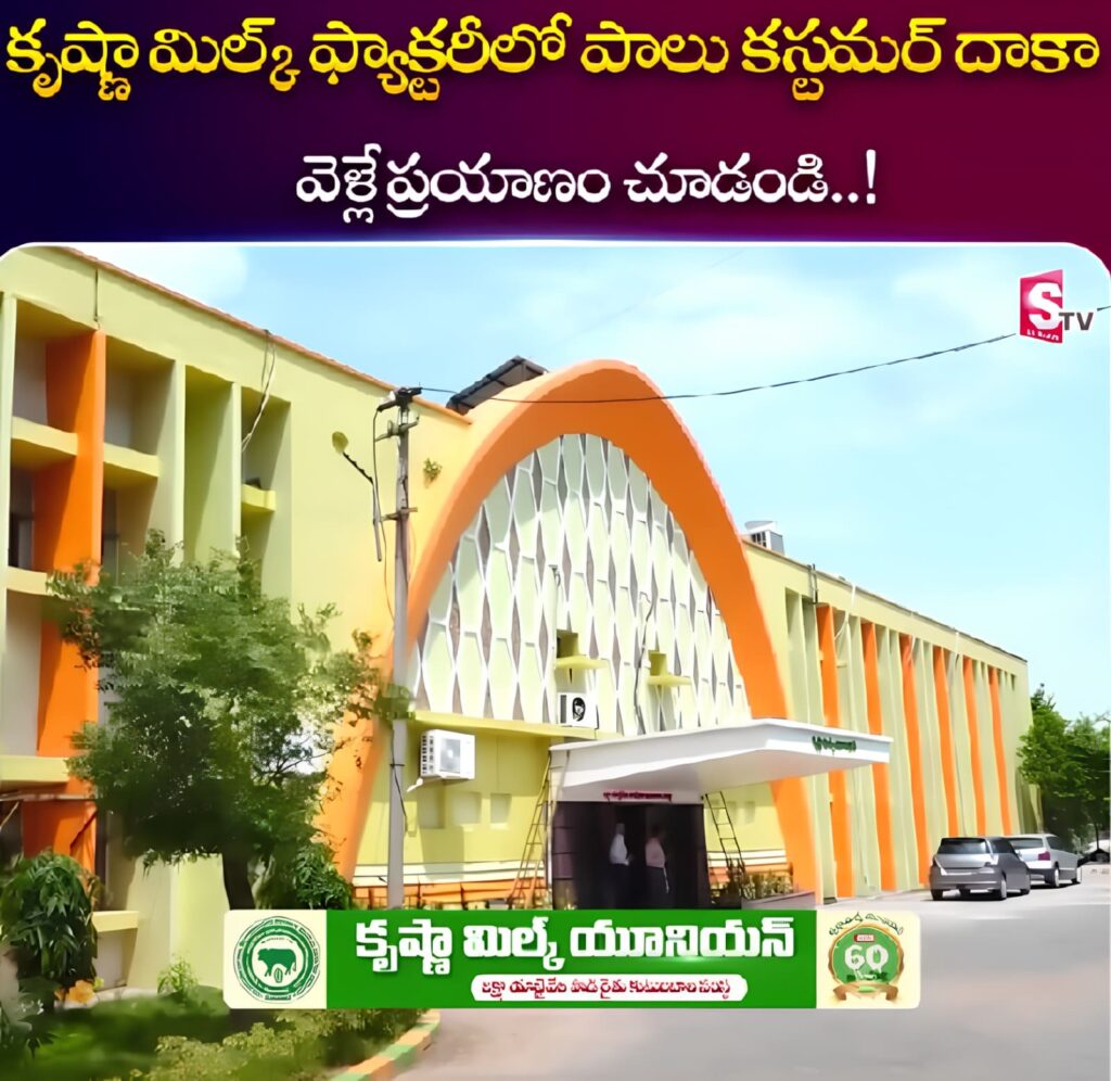 Farm to home journey of Krishna Milk Union's Vijaya Milk